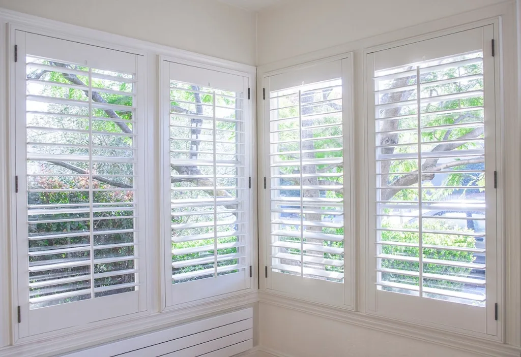 Vinyl Windows