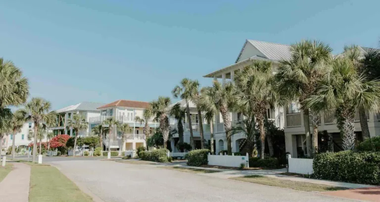 Row of coastal Florida homes, with palm trees lining street under clear blue sky - winterizing a florida keys home - Lindholm Exteriors
