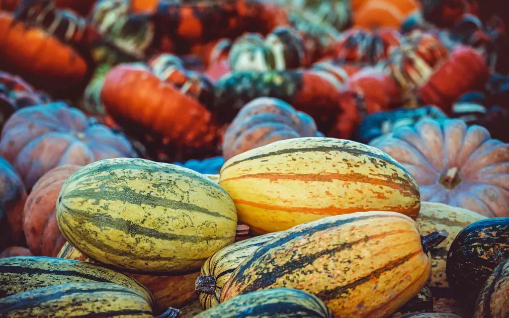 Assorted Thanksgiving pumpkins and gourds in autumn colors - Lindholm Exteriors